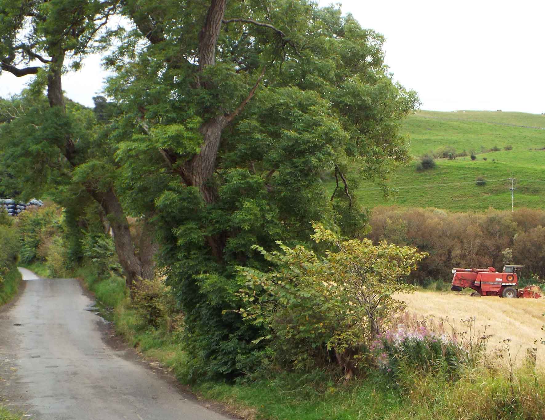Kirkton Road in 2016